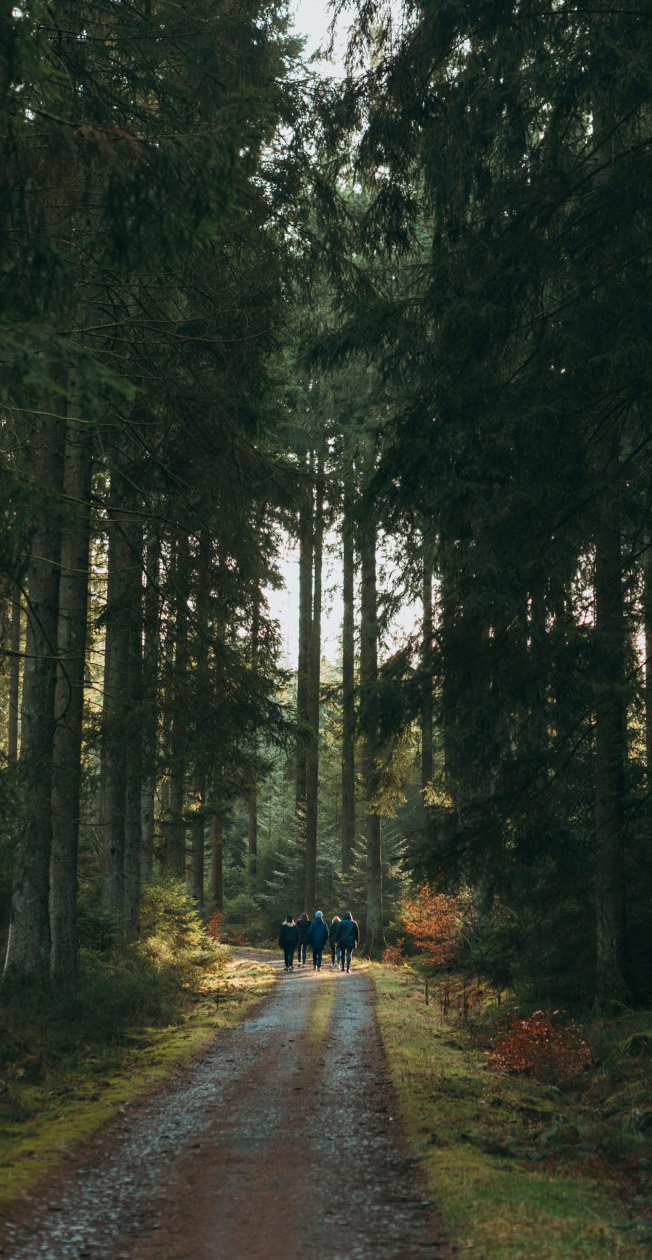 47758f05eaefd7f3cd6be8b22e24ff9f